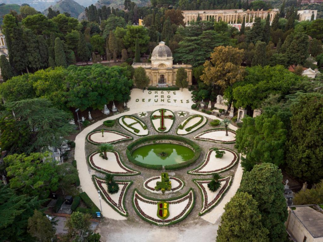Icona